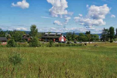Greenbank Farm: The Farm that was Saved Image